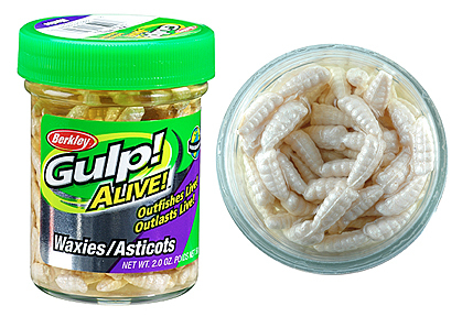 BERKLEY GULP ALIVE WAXIES WHITE