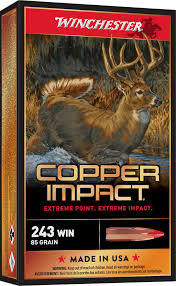 Winchester Copper Impact 243Win