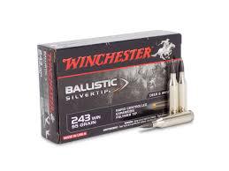Winchester Ballistic Silvertip 243Win